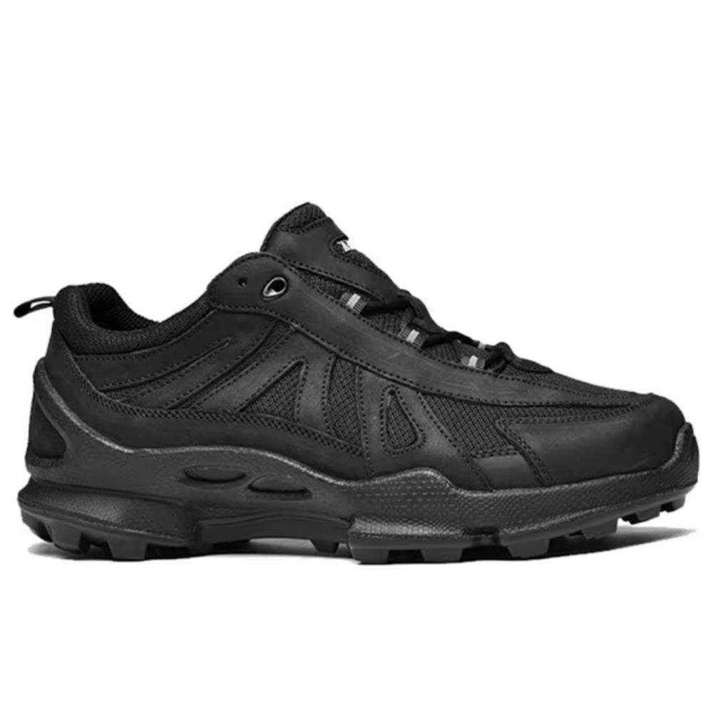 Trendy Luxury Brand Hiking Sho - đánh giá và giá Men'S Shoes Japanese Brand